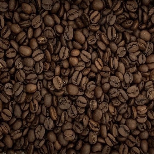 ブラジル バウ農園